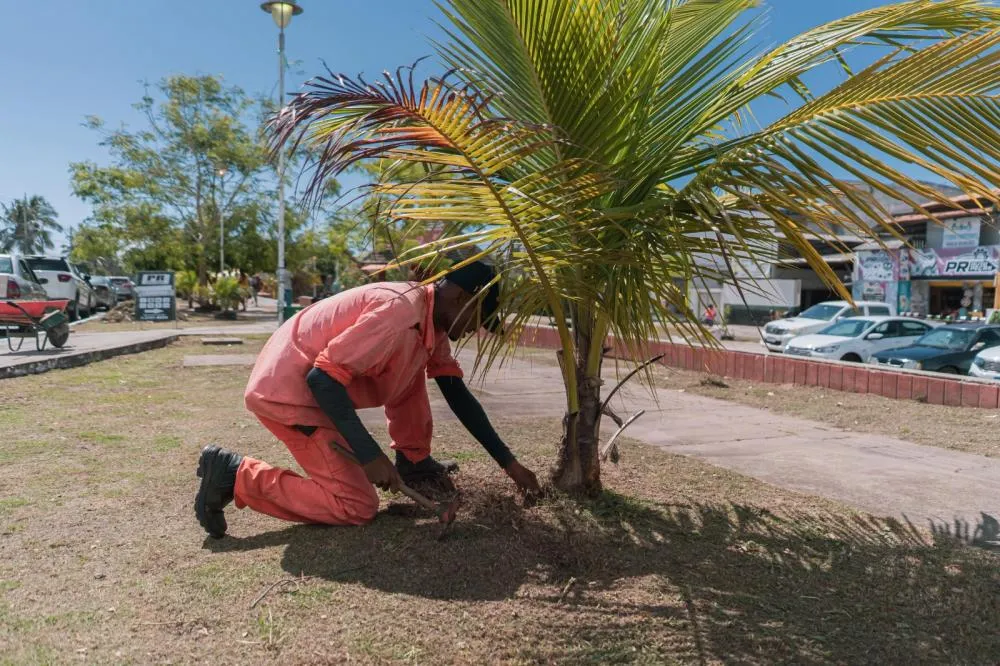 Foto: Rafael Kuster