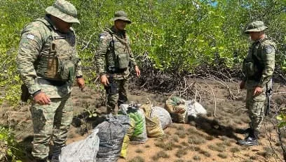 Foto(s): Cippa Porto Seguro