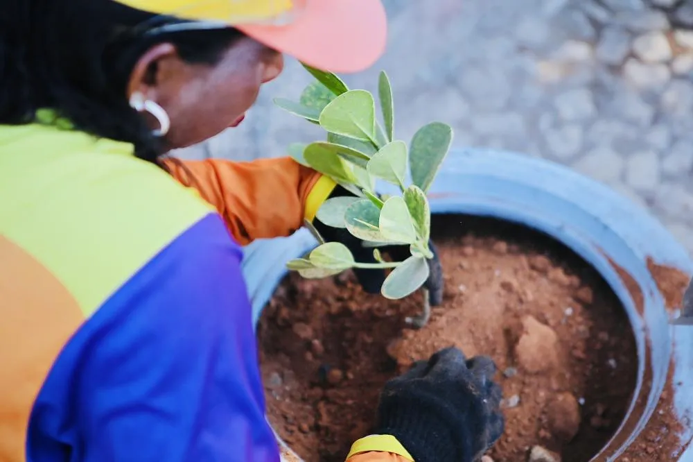 Fotos: Lucas Moura/Secom PMS