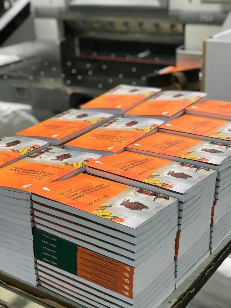 Livro De Benedicta & Tibério à Mãe Stella de Oxóssi – a vida em tempo de viver (1850–2025). Foto: Acervo pessoal