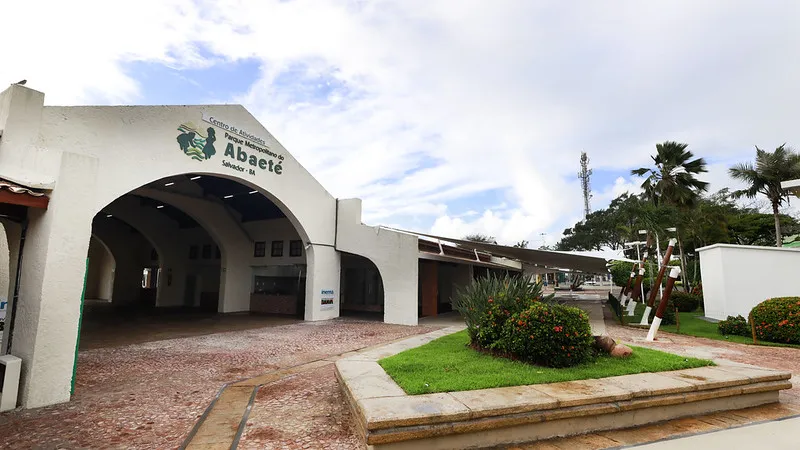 Foto: Feijão Almeida GOV/BA