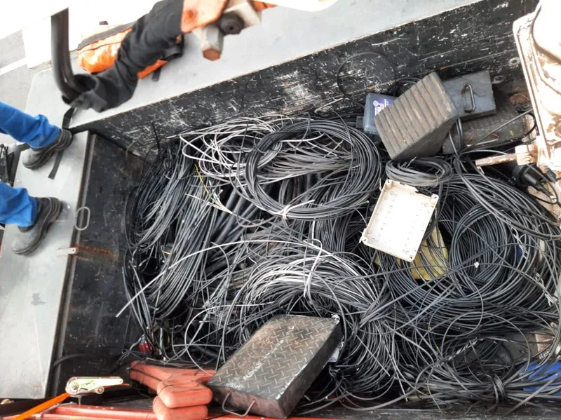 Foto: Divulgação / Neoenergia